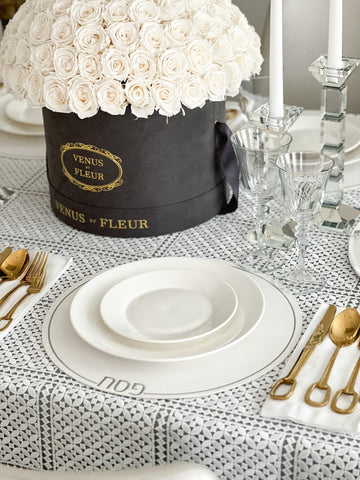Leatherette Passover pesach Placemats - set of 4
