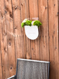 Lucite Hanging Vase for Sukkah